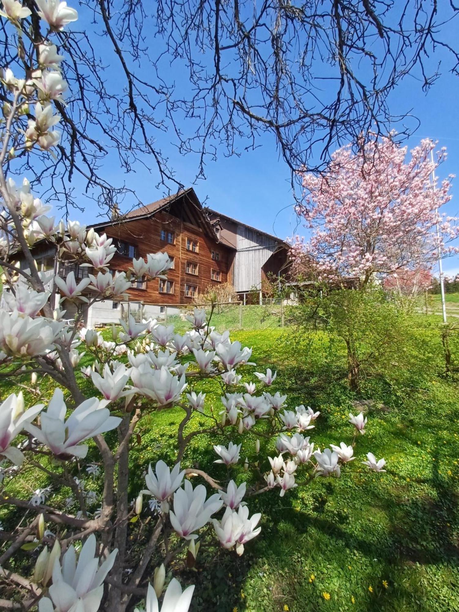 Lilalila Lodge Flawil Dış mekan fotoğraf