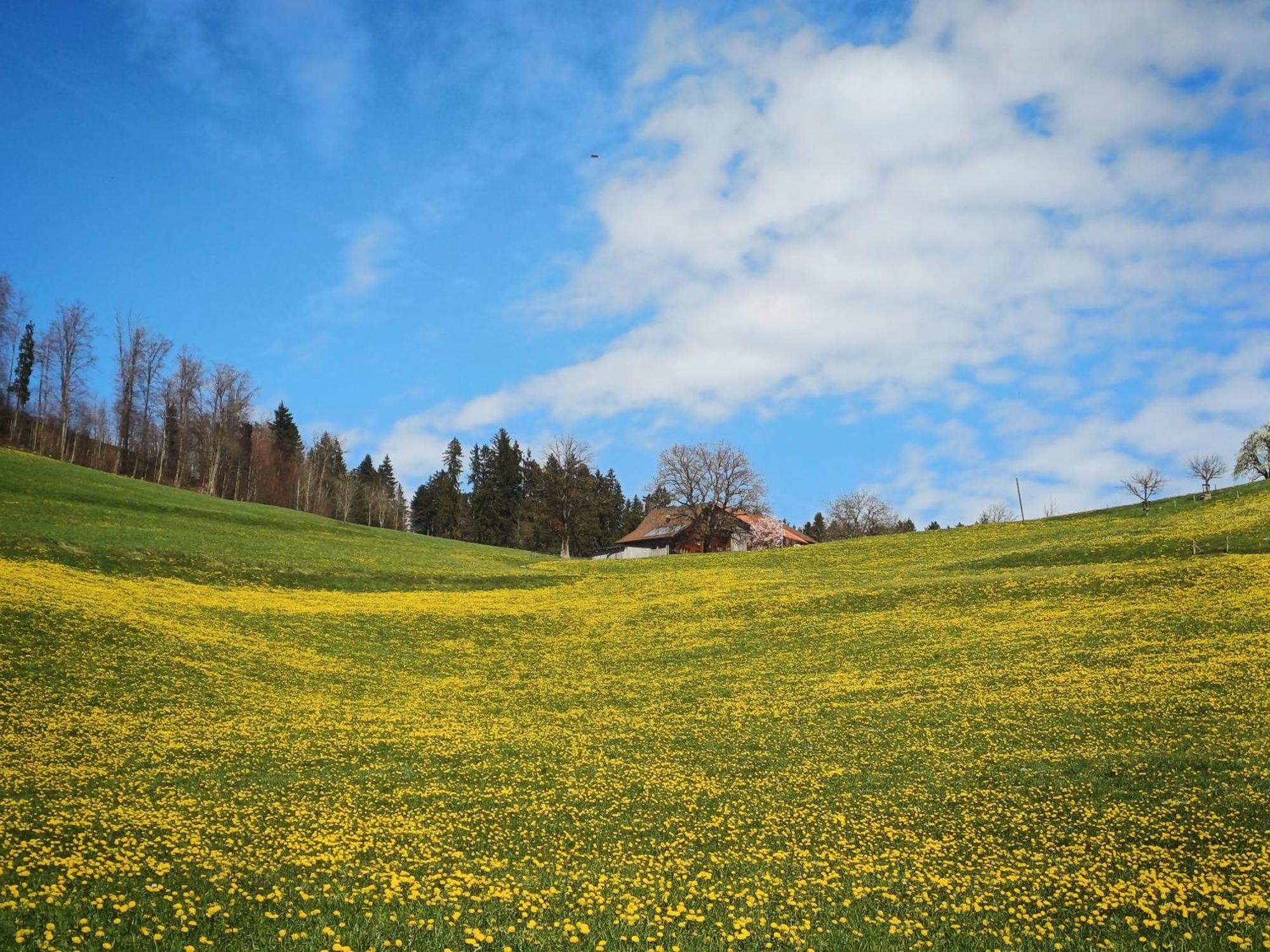 Lilalila Lodge Flawil Dış mekan fotoğraf